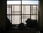 春のいづみ館
